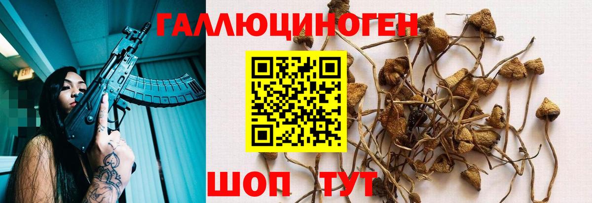 Псилоцибиновые грибы Psilocybe  дарнет шоп  Бахчисарай  Вход с VPN  Галлюциногенные грибы Cubensis 